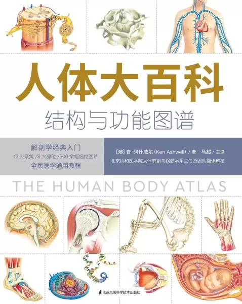 人体大百科：结构和功能图谱