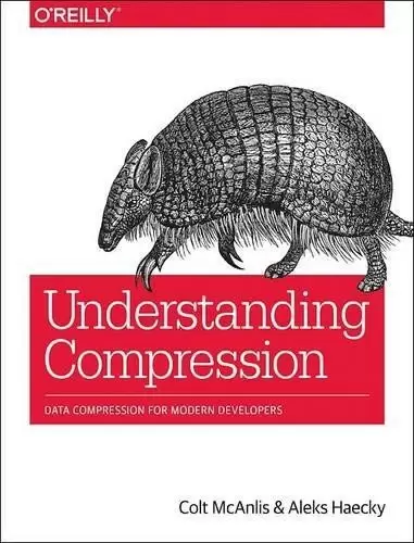 Understanding Compression
: Data Compression for Modern Developers