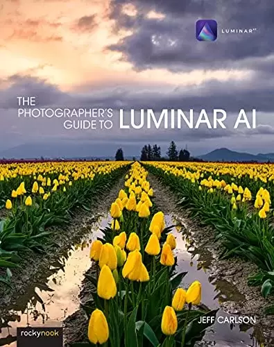 The Photographer’s Guide to Luminar AI