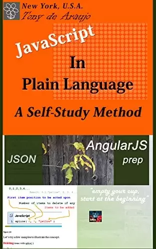 JavaScript in Plain Language, 3rd Edition