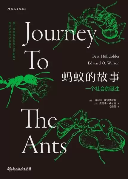 蚂蚁的故事
: 一个社会的诞生