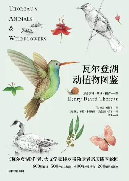 瓦尔登湖动植物图鉴
: 动物篇+植物篇（2册）