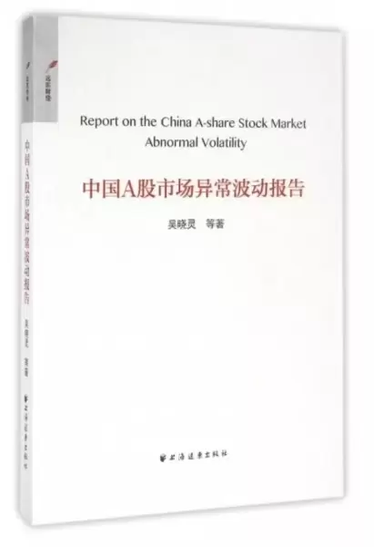 中国a股市场异常波动报告