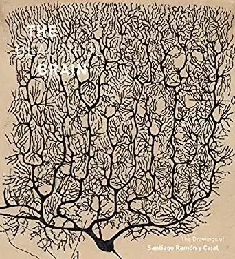The Beautiful Brain
: The Drawings of Santiago Ramon y Cajal