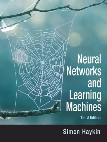 Neural Networks and Learning Machines
: Third Edition