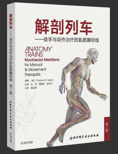 解剖列车
: 徒手与动作治疗的肌筋膜经线