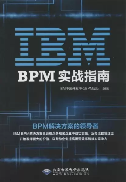 IBM BPM实战指南