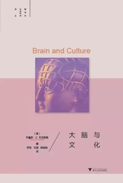 大脑与文化（精装本）