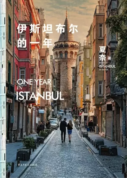 伊斯坦布尔的一年
: One Year In Istanbul