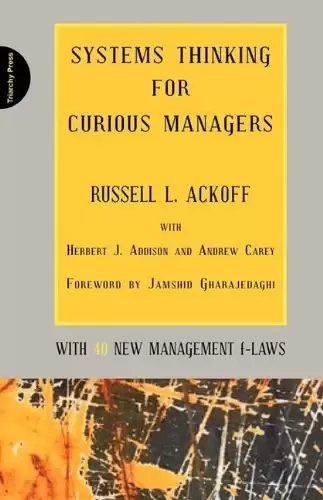 Systems Thinking for Curious Managers
: With 40 New Management f-Laws