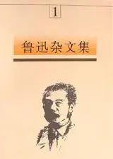 鲁迅杂文集(全五卷)