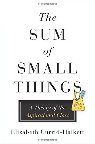 The Sum of Small Things
: A Theory of the Aspirational Class