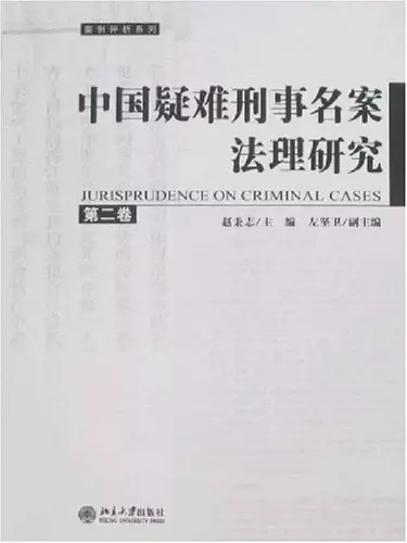 中国疑难刑事名案法理研究（第二卷）