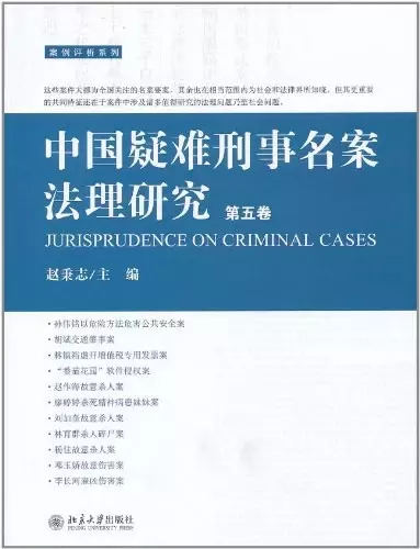 中国疑难刑事名案法理研究（第五卷）