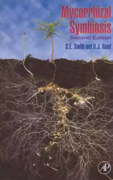 《菌根共生》封面的菌根网络
