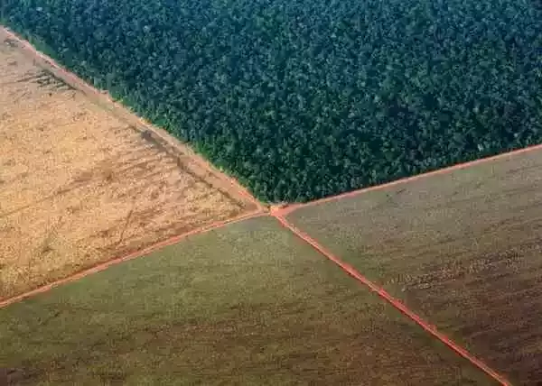 亚马逊雨林的边界，周围的土地已经去森林化，留待种植大豆，摄于巴西马托格洛索州，2015年。