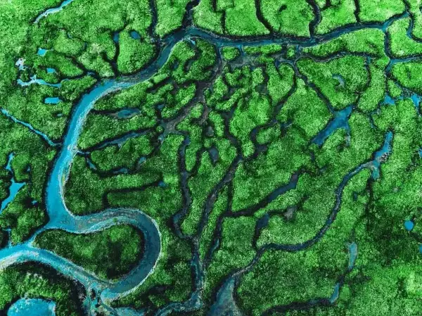 评《大河与大国》：如何走向人与河流的和谐共生