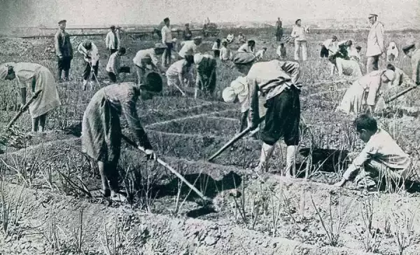1925年至1938年期间，犹太人在前苏联农业定居点工作。