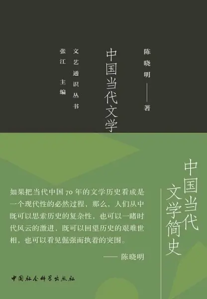 中国当代文学简史