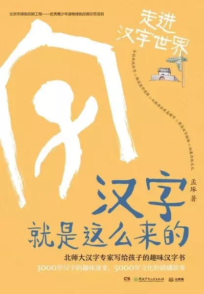 汉字就是这么来的：走进汉字世界
: 北师大汉字专家写给孩子的趣味汉字书：3000岁汉字的趣味演变，5000年文