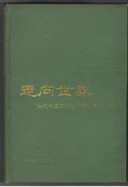 走向世界：近代中国知识分子考察西方的历史
: 中华近代文化史丛书