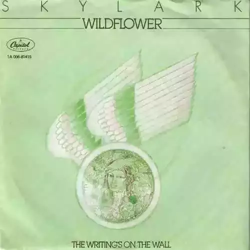 1991年，当许愿与林忆莲敲定了新专辑的主题，他当即想到要把加拿大乐队Skylark的名曲Wildflower加进专辑