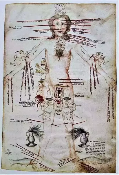 中世纪的身体观及其……图像叙事