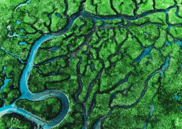 评《河流是部文明史》：融汇自然与人文的历史叙事